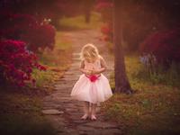 董易姗2018年生肖猪运势