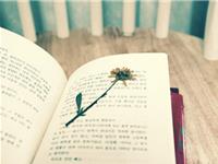 双鱼座是最聪明的吗