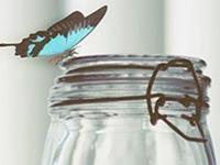 狮子座有多大几率暗恋一个人