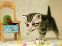 寂多蔓生2017年10月天蝎座运势