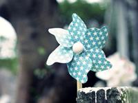 巨蟹座眼里的无价之宝是