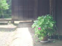 张盛舒紫微14主星一周运势（10.2-10.8）