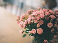 张盛舒2017年10月塔罗运势