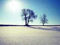 摩羯座爱八卦吗