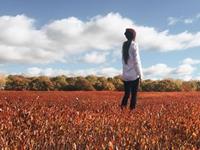 占卜他主动找你的几率有多大