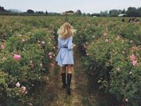 占卜该如何提升你的桃花运