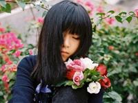 未来50天内，运势最好的四大生肖