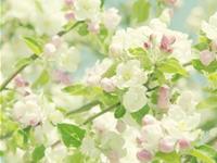 张盛舒十二星座每周旅游出行运(10.16-10.22）