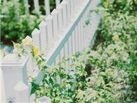 易鑫老师一周生肖吉凶日（10.16-10.22）