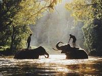 占卜你最近运势不佳的原因是什么呢