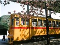 紫微斗数太阳星2017年11月爱情运势