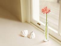 张盛舒紫微14主星2017年11月运势