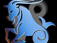 摩羯座的掌管宫位