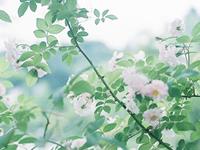 小容女生命灵数运势（10.23-10.29）