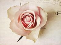 十二星女谁会因为你穷而和你离婚