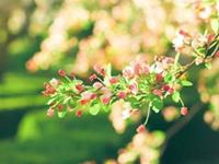 金牛座的最大特点，金牛座的最大特征