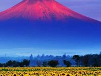 如果超过一年，这些星座男才算是爱你