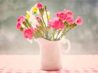 天蝎座的最大特点，天蝎座的最大特征