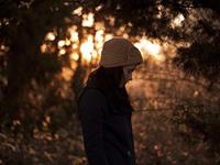 泓翔2017年11月生肖鼠学业考试运势