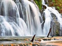 桃花运最强星座