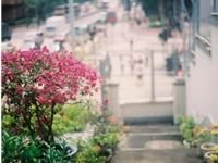 说到做到，从来不空许诺的生肖