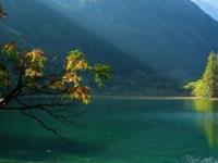 因为优秀而分手的星座