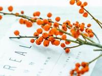 暗恋的时候，你根本看不出来的星座