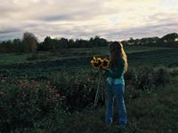 占卜多久后你才能转运