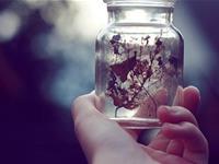 泓翔2017年11月生肖鼠财气运势