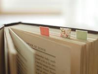 寂多蔓生2017年11月天蝎座运势