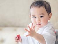 五行属木的名字，五行属木的名字有哪些