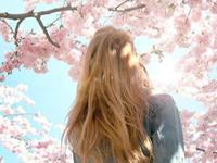 柒爸2017年11月天秤座运势