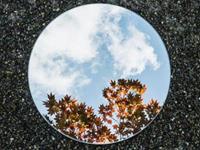 怎么做你的人生才更加完美呢