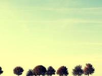 盘点：想出轨但没有胆量的星座