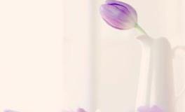 揭秘！其实这些星座的是恋爱高手