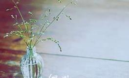 你会在异地邂逅一份新感情么？这些星座很容易