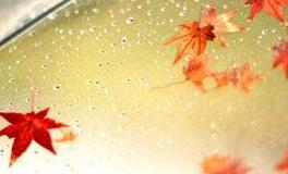 女汉子没人爱？这些星座表示“放着我来”