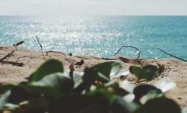 分手理由超级奇葩的星座