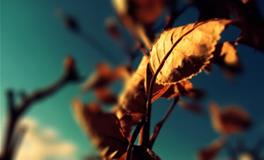 双子座最令人讨厌的地方