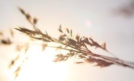 双鱼座最令人讨厌的地方