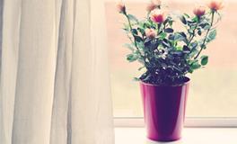 白羊座傻蛋排第几名