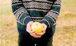 塔罗右手一周塔罗运势（11.20-11.26）