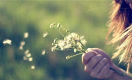 12星座天不怕地不怕就怕什么