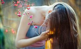 浮图塔2017年12月份生肖牛运程