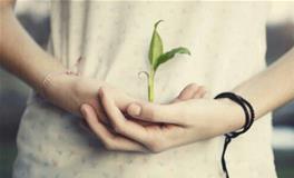 泓翔2017年12月生肖牛学业考试运势