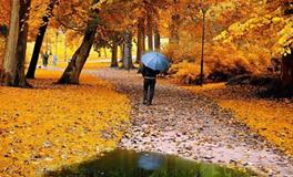 占卜最近谁会成为你的贵人