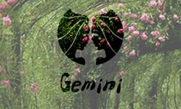 Alex双子座2017年12月运势