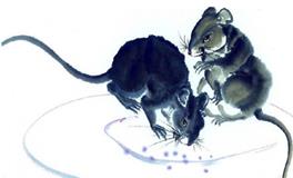 古易方2018年生肖鼠男士运程