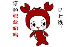 给12星座的offer，恭喜你被录用了