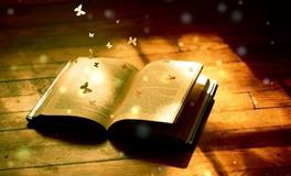 敢作敢当，从不推卸责任的星座